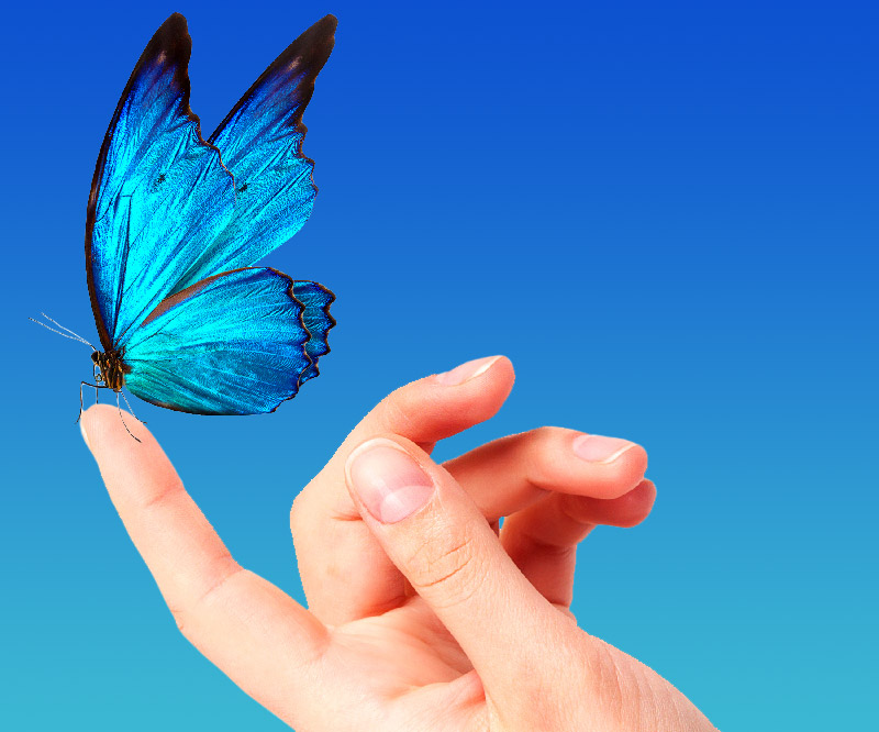 Total Biz Transformation