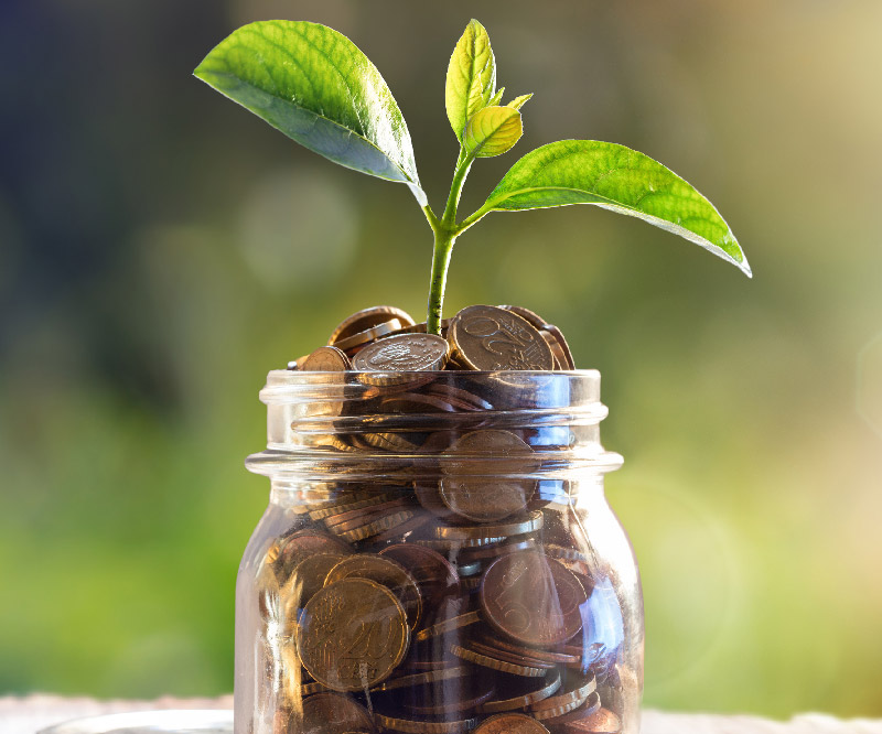 Grow My Business